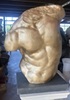 RID130GBR Torso su basetta
