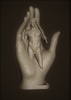 Statua di design Forcenature